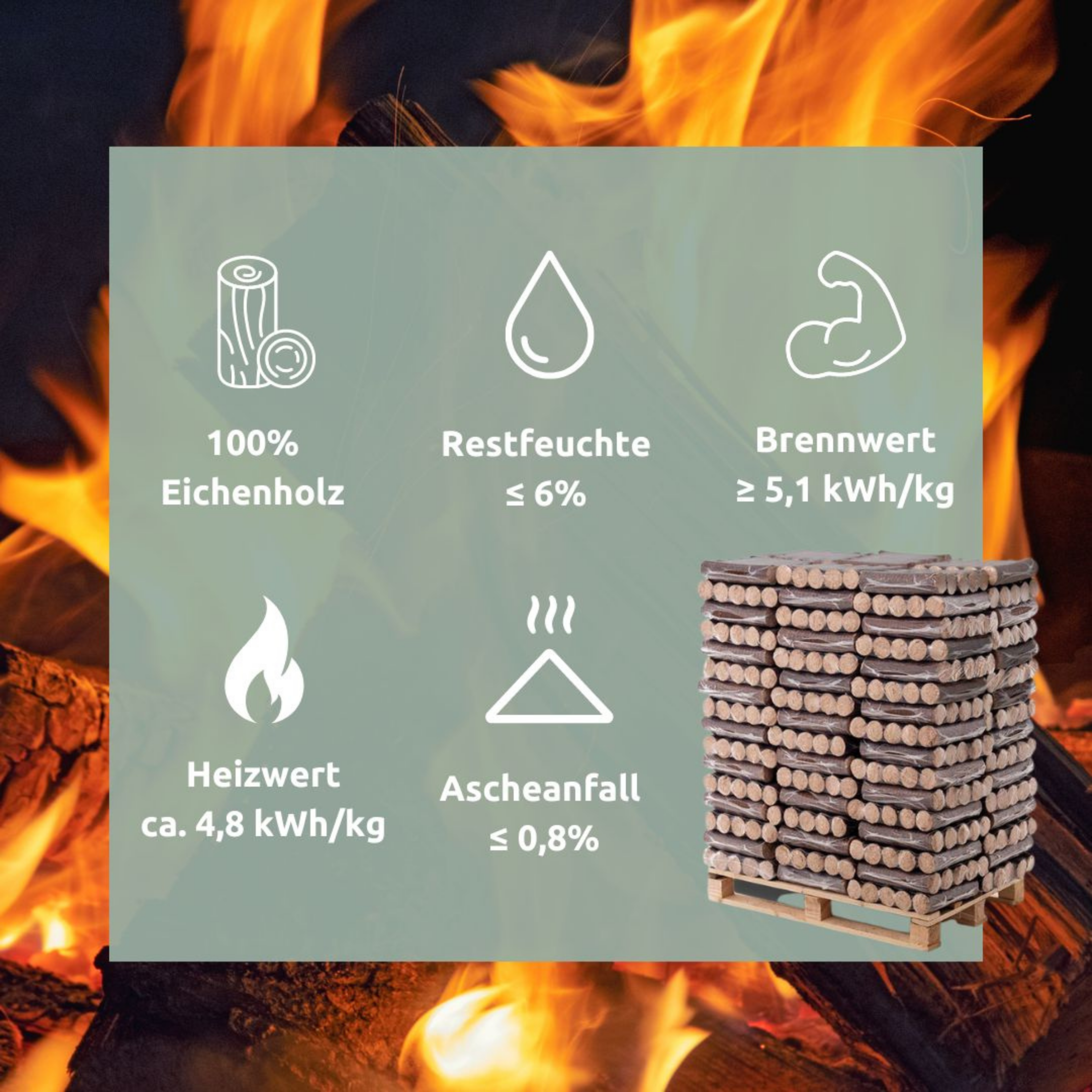 Hartholz‑Eichenbriketts / Holzbriketts – 960 kg pro Palette